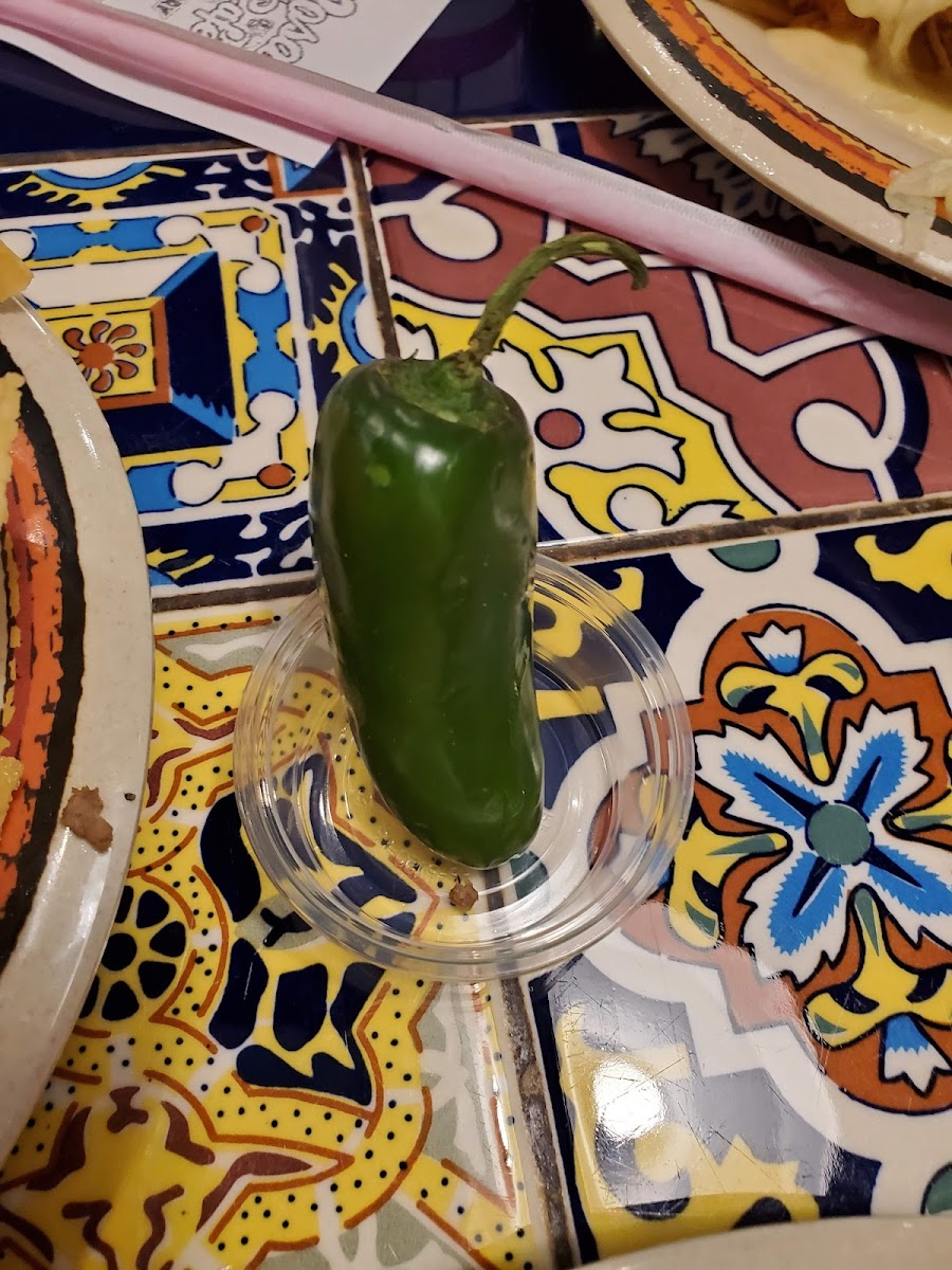 Rosa's Café & Tortilla Factory-10